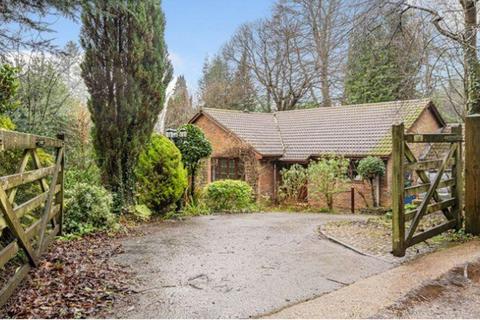 4 bedroom detached bungalow for sale, Grovers Gardens, Wood Road, Hindhead