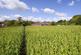 Butt Lane, Blackfordby photo 3