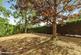 Wallins Copse, Basingstoke, RG24 photo 4