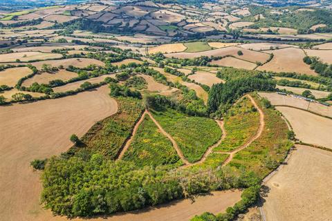 Farm land for sale, Silverton, Exeter