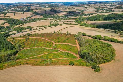 Farm land for sale, Silverton, Exeter
