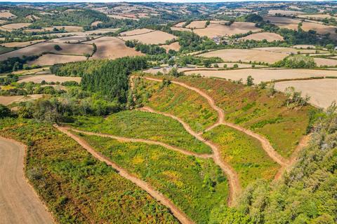 Farm land for sale, Silverton, Exeter