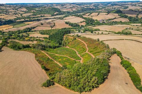 Farm land for sale, Silverton, Exeter