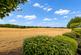 Woodstock, Knebworth photo 2