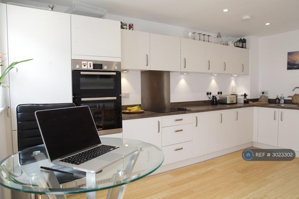 House in Bristol, Paintworks, St Philip's Marsh - More