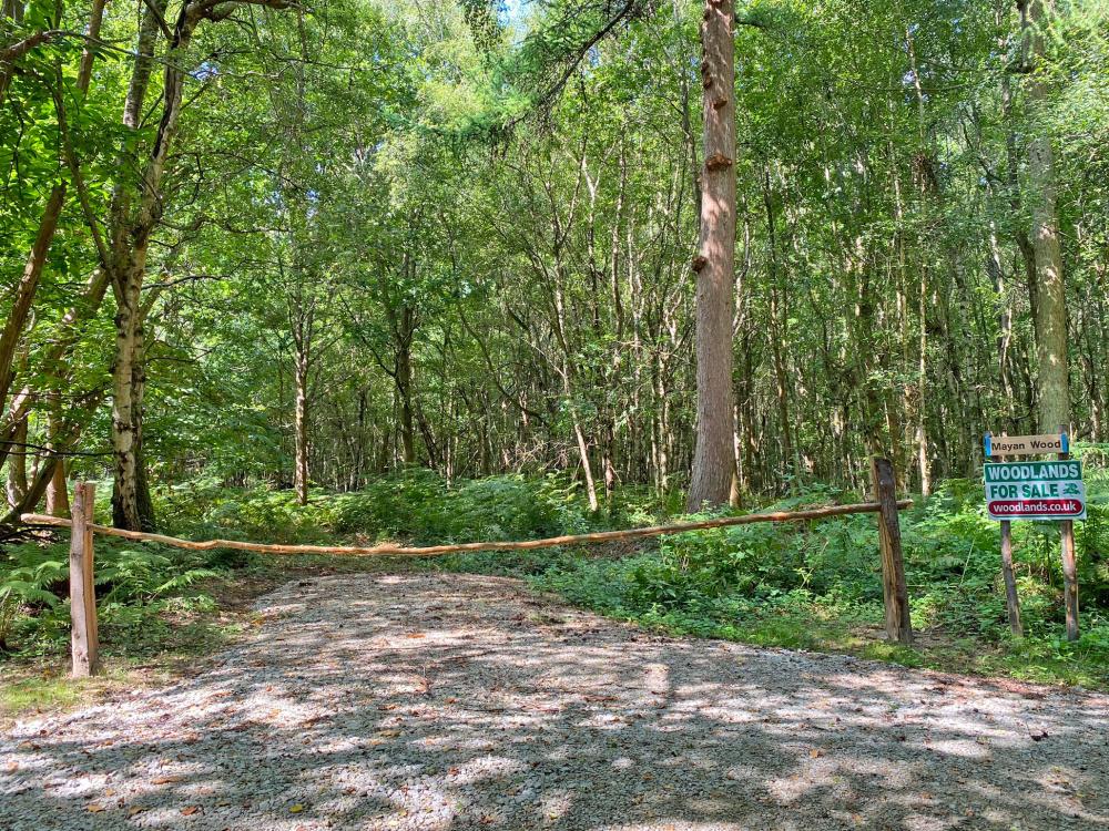 (Four and a half acres), Lamberhurst, near Tunbridge Wells, Kent TN3