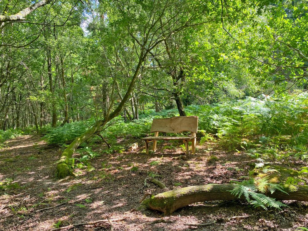 (Four and a half acres), Lamberhurst, near Tunbridge Wells, Kent TN3 - View 2