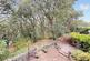 Ormsby Close, Thurgoland, S35 photo 3