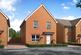 Calthorpe at Barratt Homes at Roman Gardens London Road, Kelvedon CO5