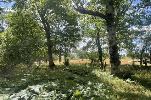 Woodland for sale, Longhorsley, Northumberland NE65