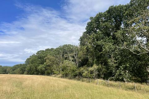 Woodland for sale, Longhorsley, Northumberland NE65