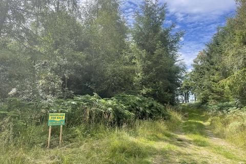 Woodland for sale, Longhorsley, Northumberland NE65