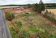 Red House Lane, Hannington, Northants, NN6