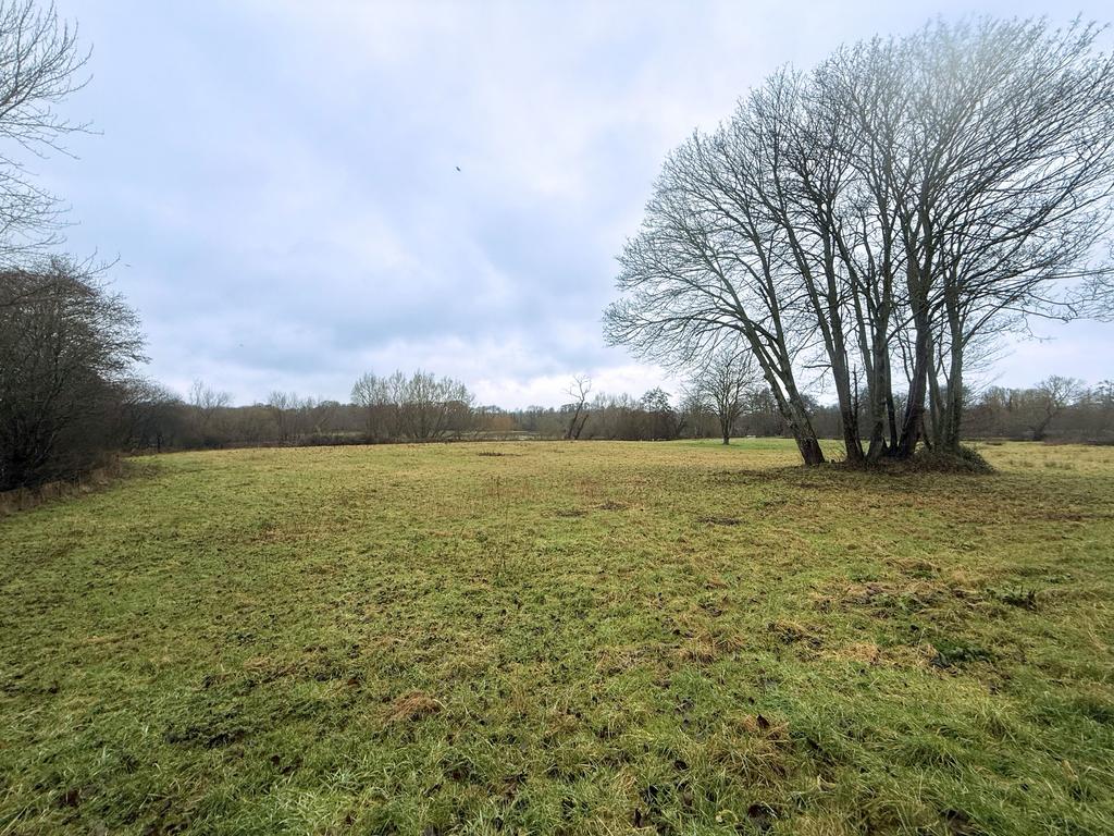 Tilthams Corner Road, Bramley GU5 - View 3