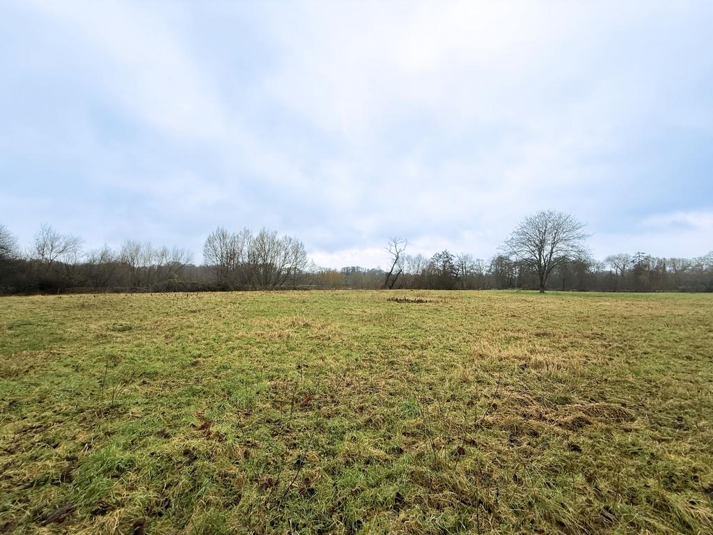 Tilthams Corner Road, Bramley GU5 - View 4