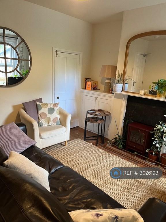 House in Reading, Spring Gardens, Coley - View 3