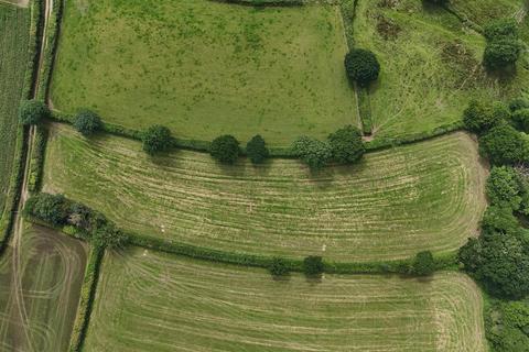 Land for sale, Colscott, West Putford EX22