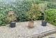Chessington Road, Surrey KT17 photo 3