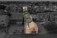 High Street, Eye, PE6 photo 3