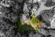 Welland Close, Crowborough, TN6 photo 2