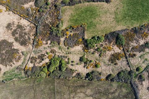 Farm land for sale, Lot 3 - 4.66 Acres of Rough Grazing Land and Scrub Land, Carnhedryn, Solva