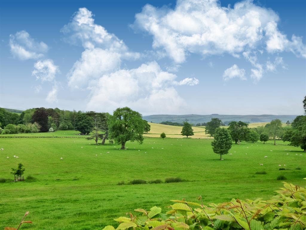 House in Gargrave, Eshton - View 3