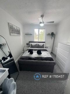 House in Cambridge - More