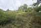 Ashurst Wood, East Grinstead RH19 photo 2