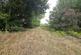 Ashurst Wood, East Grinstead RH19 photo 5