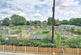Six Fields Path, Tenterden photo 3