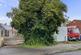 Land Adjacent to, 51 Devon Drive, Brimington, Chesterfield, S43 1DZ