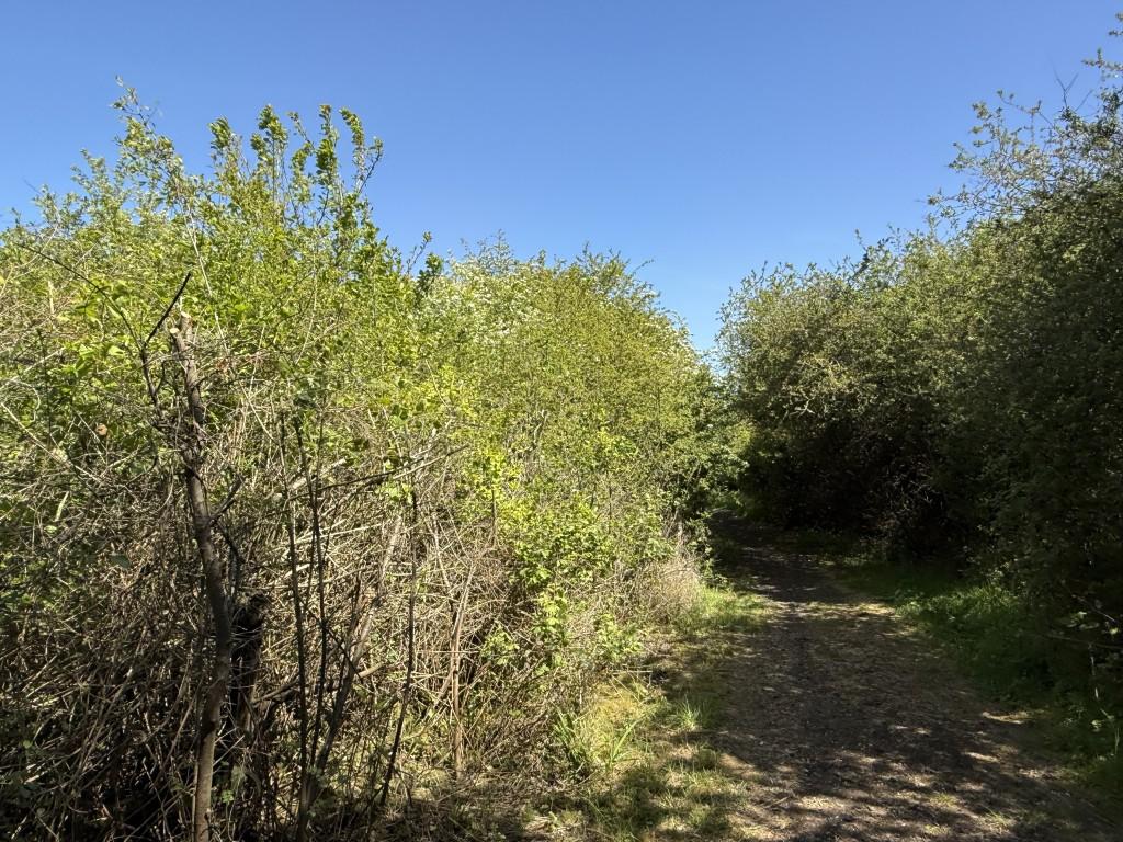 Land North Of Point Clear Road, St. Osyth, Clacton-on-Sea, Essex - View 4