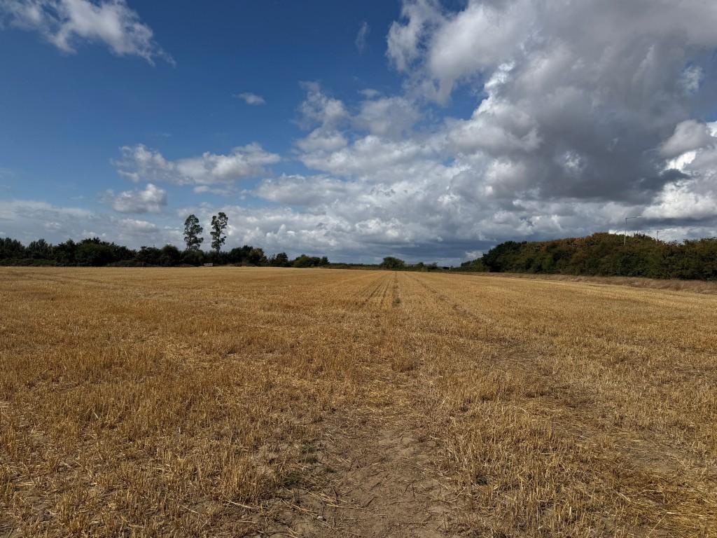 Land Adj Guilton Lodge, Pedding Hill, Guilton, Ash, Canterbury, Kent - View 2