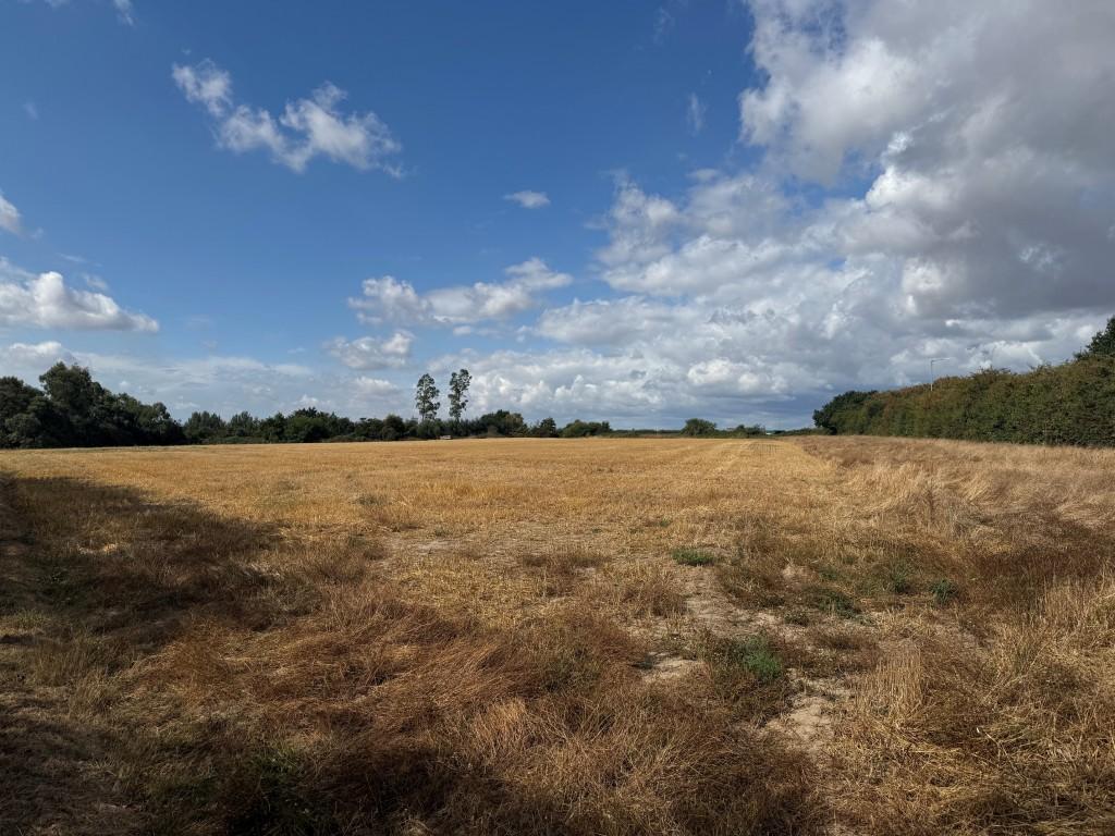 Land Adj Guilton Lodge, Pedding Hill, Guilton, Ash, Canterbury, Kent - View 3