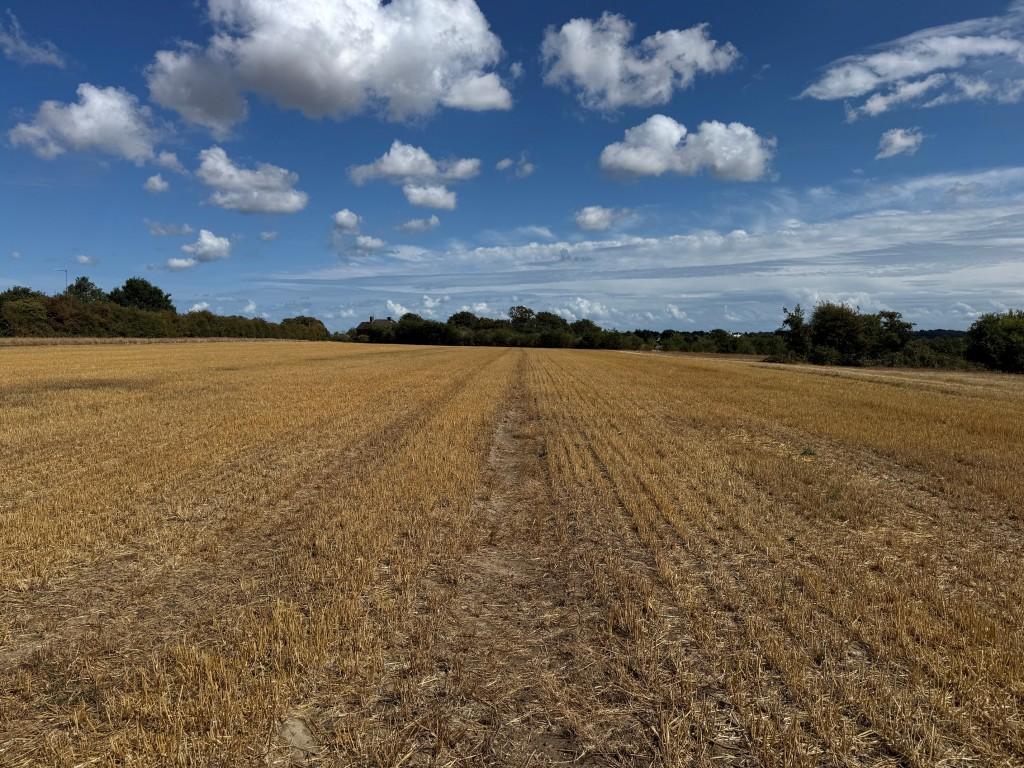 Land Adj Guilton Lodge, Pedding Hill, Guilton, Ash, Canterbury, Kent - View 4