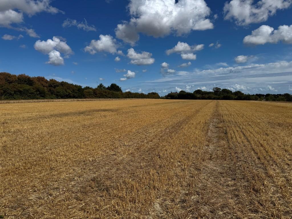 Land Adj Guilton Lodge, Pedding Hill, Guilton, Ash, Canterbury, Kent - View 5