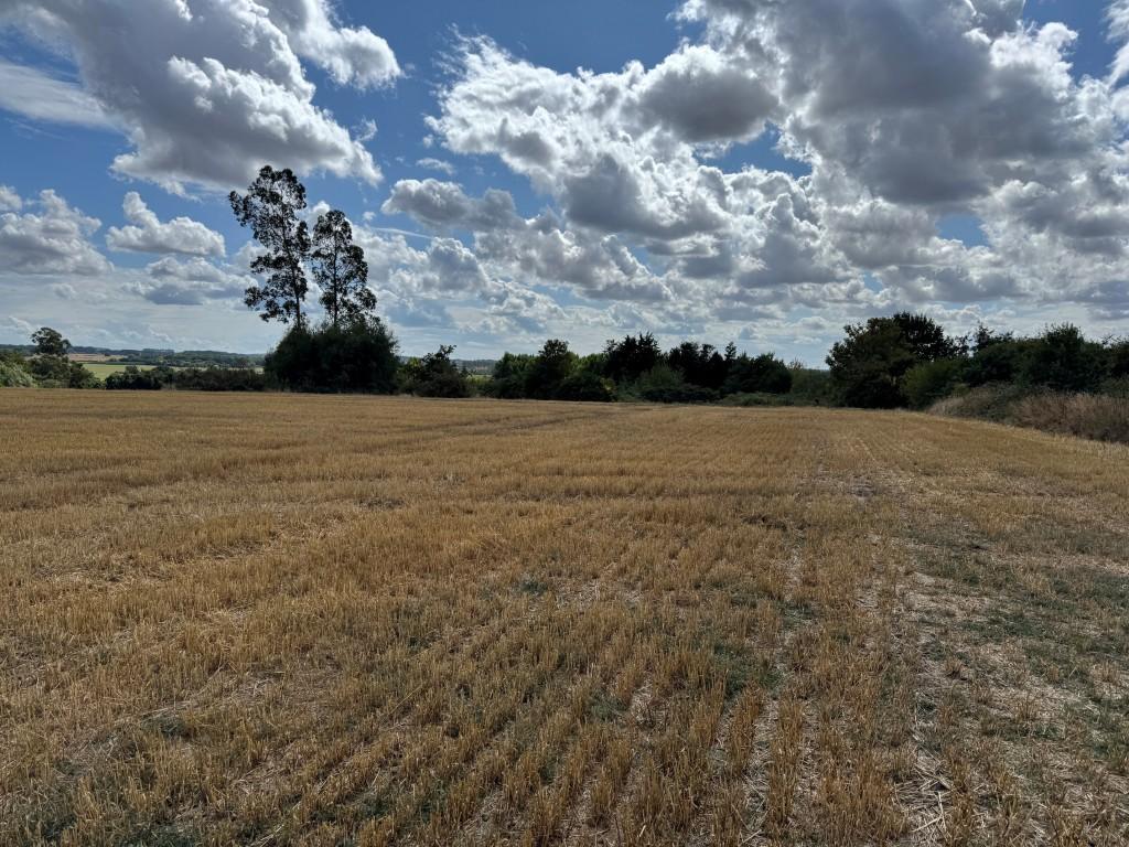Land Adj Guilton Lodge, Pedding Hill, Guilton, Ash, Canterbury, Kent - More