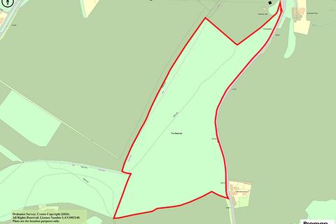 undefined, The Beeches Woodland, Beechborough, Etchinghill, Folkestone, Kent