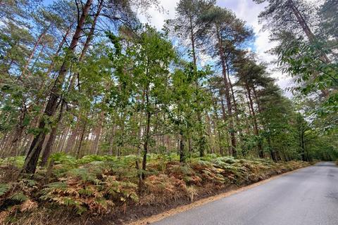 undefined, Broadview Wood and Broadstring Wood, Lodge Lane, Tunbridge Wells, Kent