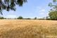 Elm Tree Gardens, Romsey, Hampshire photo 4