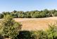 The Borough, Brockham photo 5