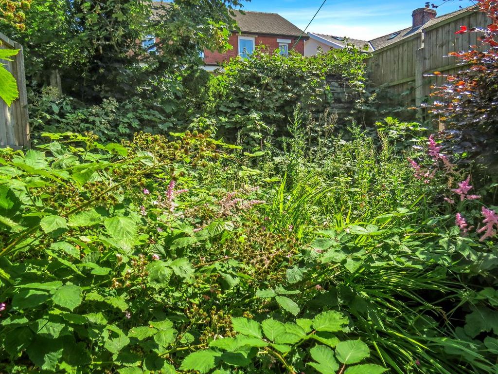 Garden view, garden