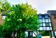 Robina Close, London HA6