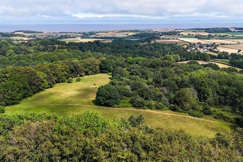Land for sale, Holford, Bridgwater