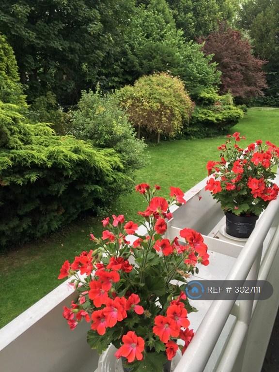 Apartment in Cambridge, Cambridgeshire - View 3
