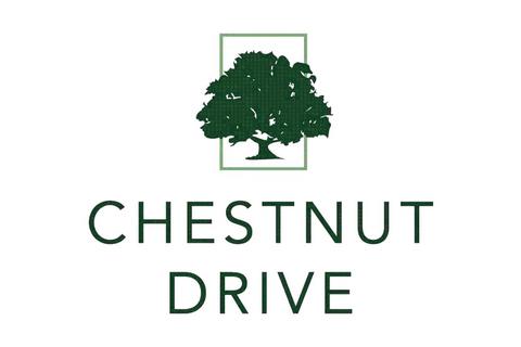 undefined, Plot 18 The Chestnut, Chestnut Drive, Curry Rivel, Langport, Somerset, TA10