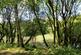 Taylors Lane, Ince-in-Makerfield, Wigan