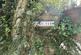 Institute Hill, Niton photo 4
