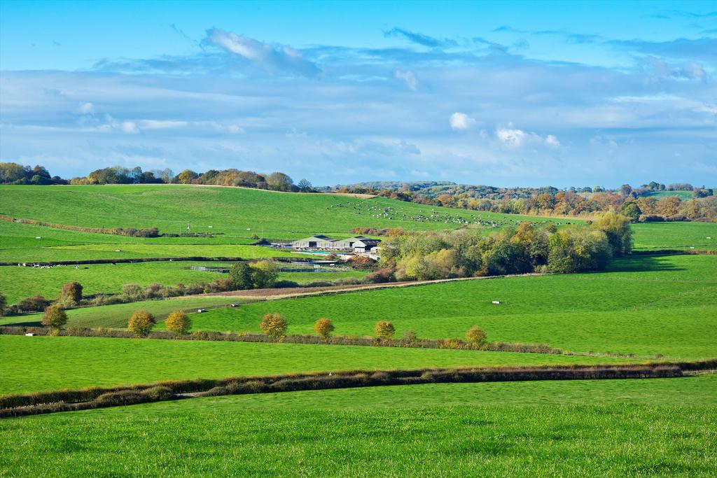 House in Harborough, Tugby and Keythorpe
