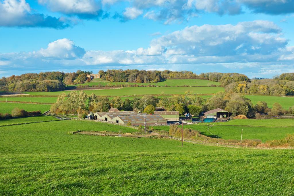 House in Harborough, Tugby and Keythorpe - More